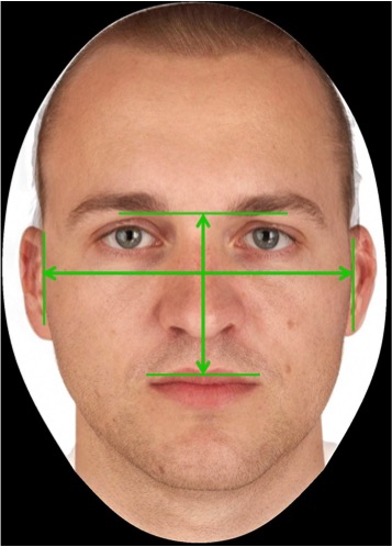 Figure 2. An example of facial width-to-height (fWHR) ratio measurements. Research revealed that fWHR correlates with company financial performance in a sample of CEOs whose companies have low management complexity (Wong et al., 2011).