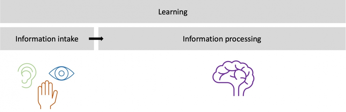 Figure 3: Learning in the process of information intake and processing