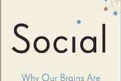 Social: why our brains are wired to connect