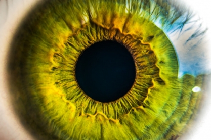 Eye - image from pexels.com CC0